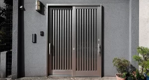 Steel Doors